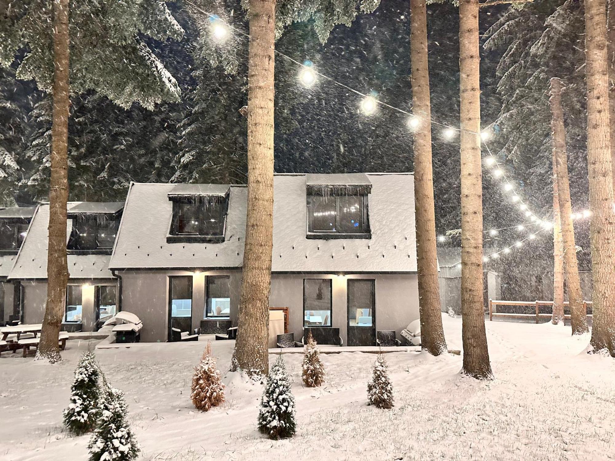 Boro Green Holiday Village Boroveț Exterior foto