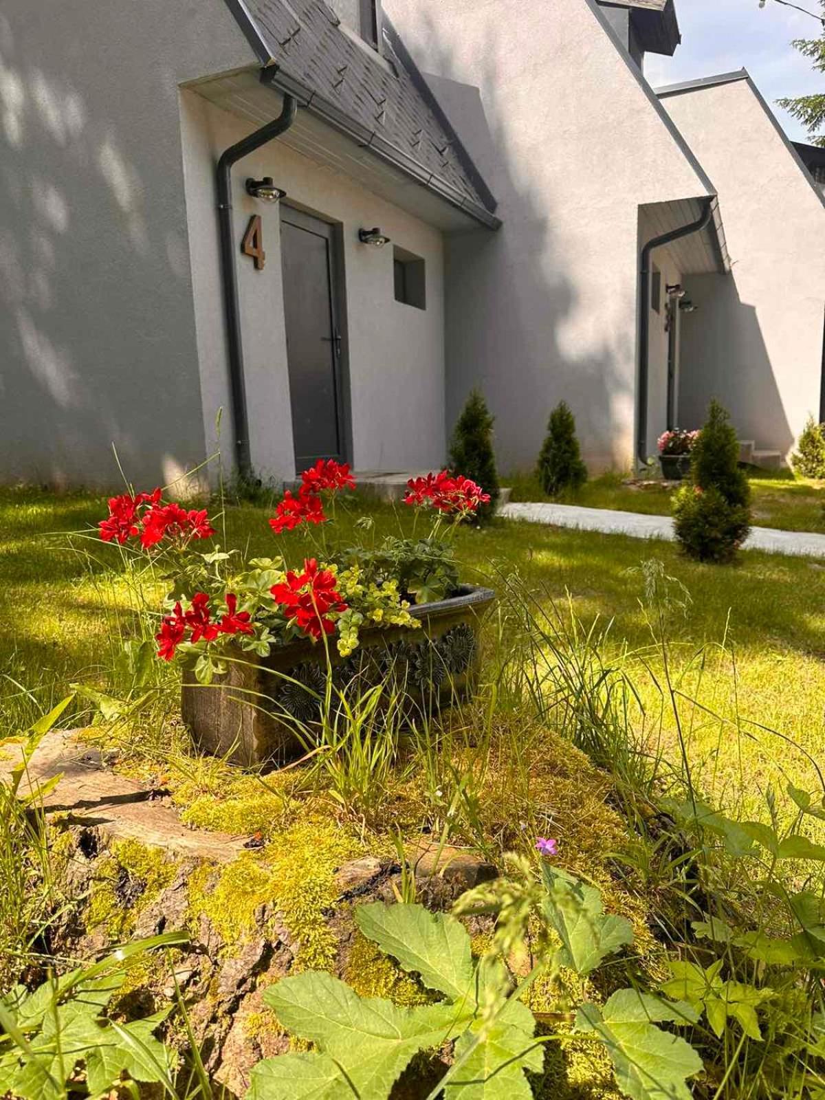 Boro Green Holiday Village Boroveț Exterior foto